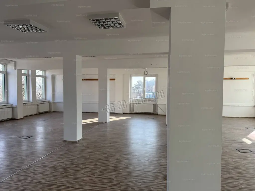 Kiadó Iroda, irodaház, Budapest II. kerület, Kurucles, 250nm, 975000 Ft