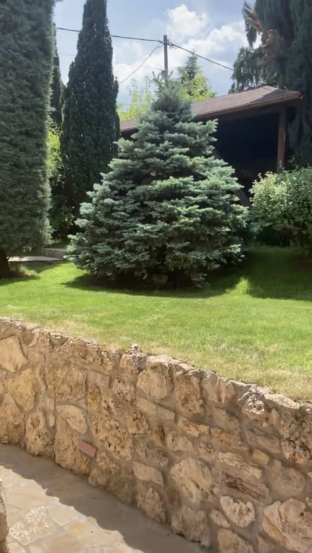Ingatlan hirdetés kép