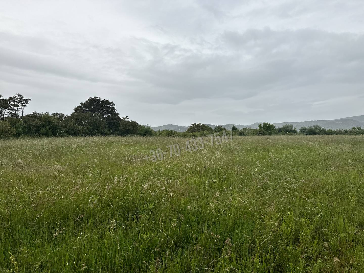 Eladó Építési telek, Törökbálint, Nincs megadva, 1nm, 51475000 Ft
