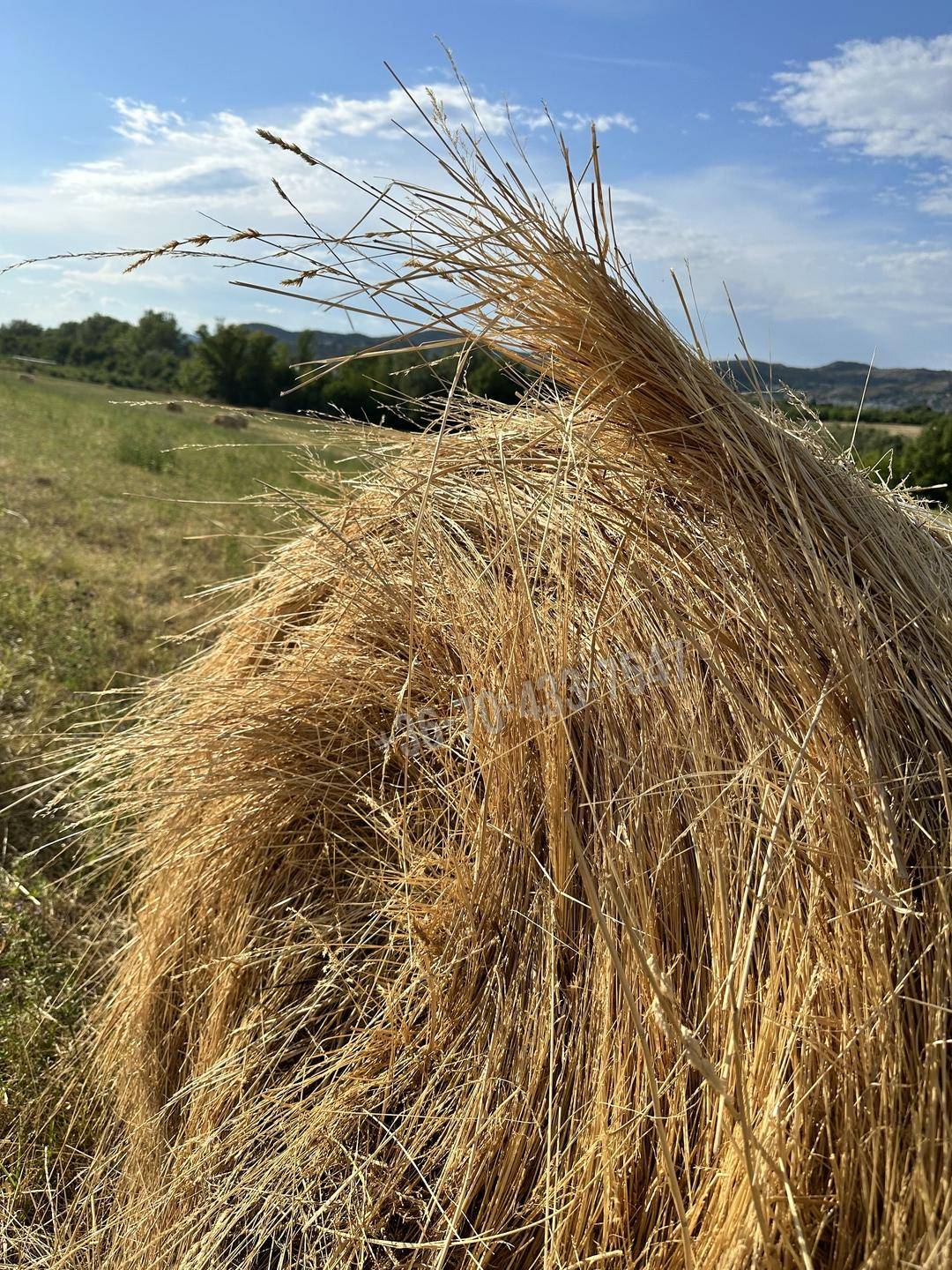 Eladó Építési telek, Törökbálint, Raktárváros, 1nm, 20600000 Ft