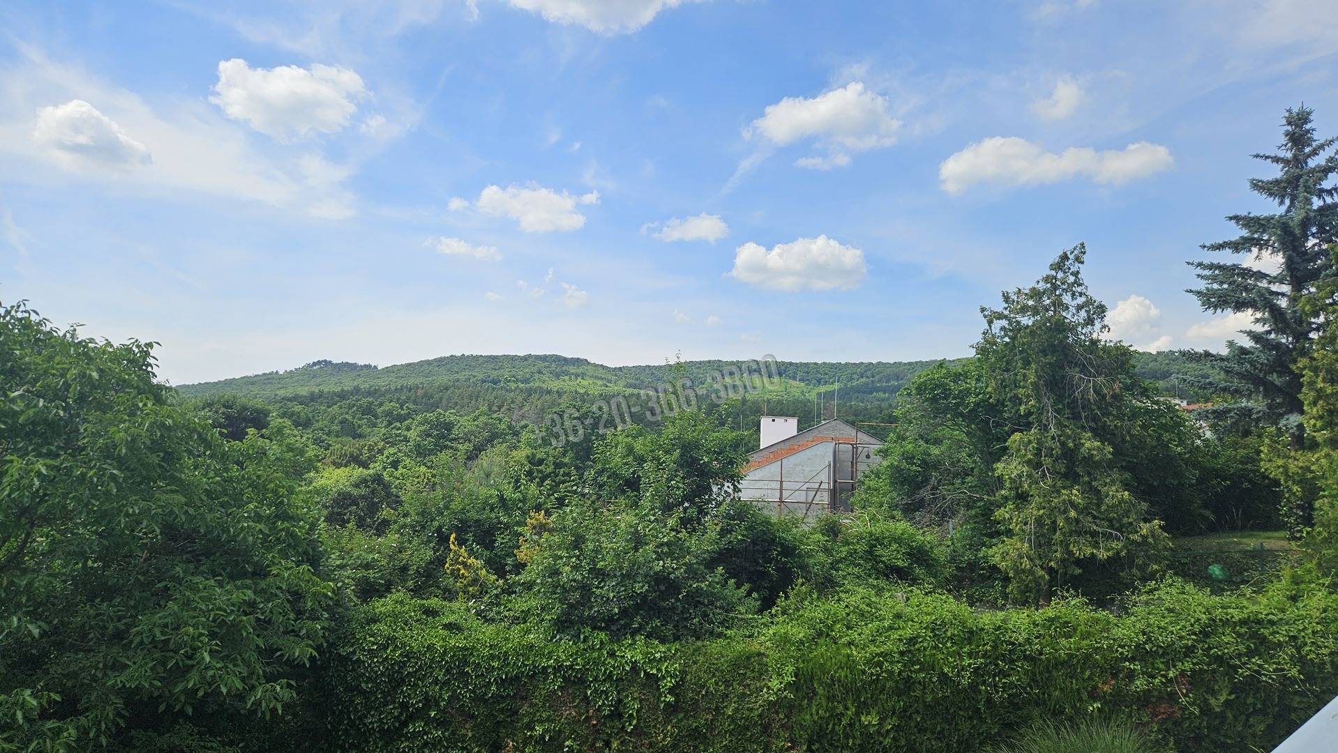 Eladó Sorház, Budakeszi, Barackos, 150nm, 142000000 Ft