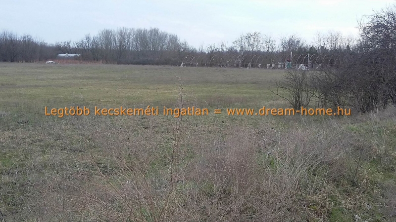 Eladó Telek, Kecskemét, 9000nm, 6700000 Ft