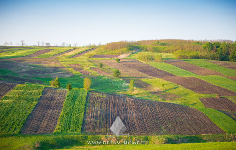 Eladó Telek, Jakabszállás, 640nm, 7900000 Ft