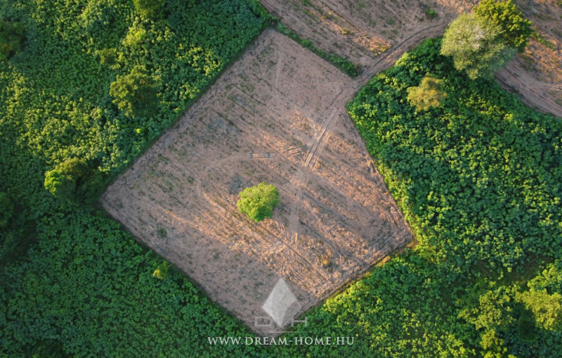 Eladó Telek, Jakabszállás, 815nm, 8900000 Ft