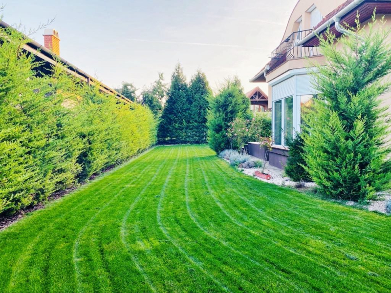 Eladó Ház, Halásztelek, 350nm, 210000000 Ft