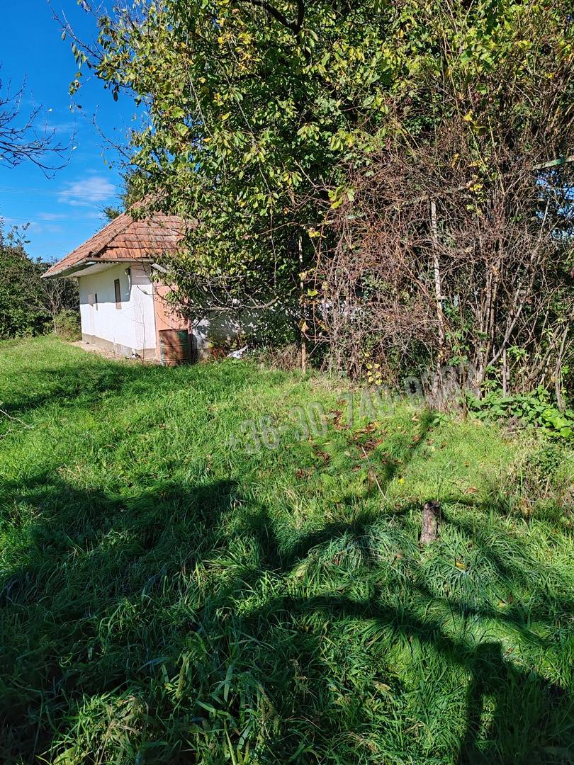 Eladó Külterületi telek, Zalaegerszeg, Lukahegy, 25nm, 14800000 Ft