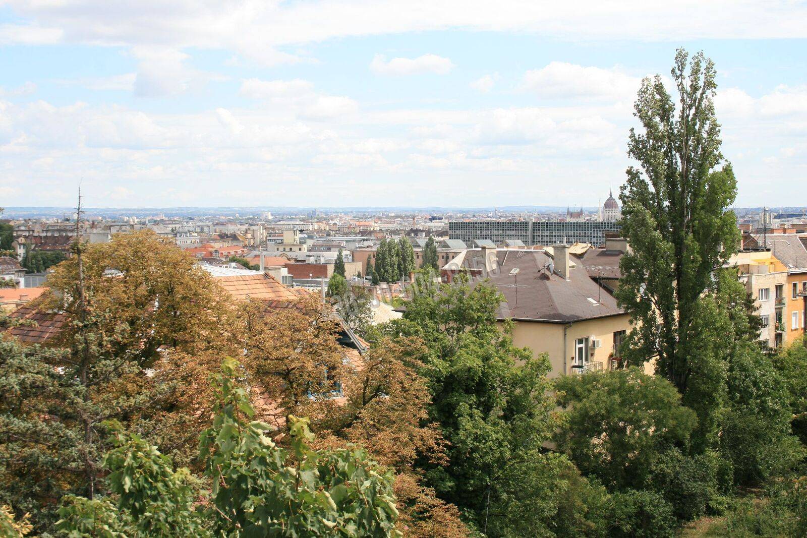 Kiadó Társasházi lakás, Budapest II. kerület, Országút, Nyúl utca, 55nm, 260000 Ft