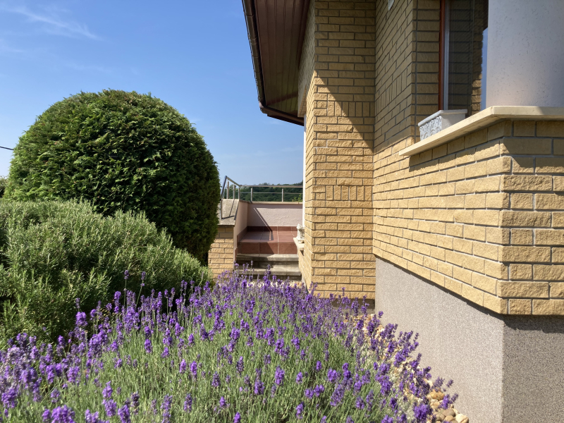 Eladó Ház, Piliscsaba, GARANCSLIGET, 284nm, 239000000 Ft