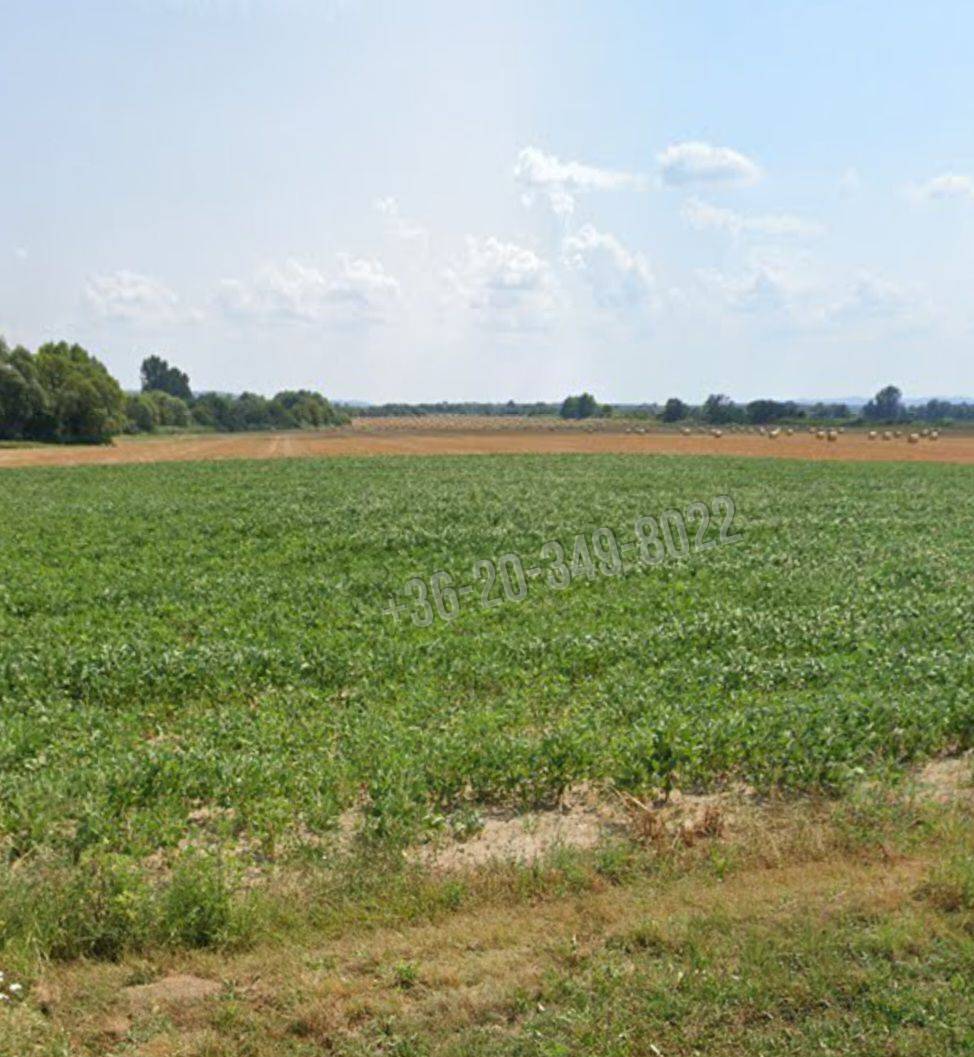 Eladó Építési telek, Felsőrajk, Nincs megadva, 1810nm, 1900000 Ft