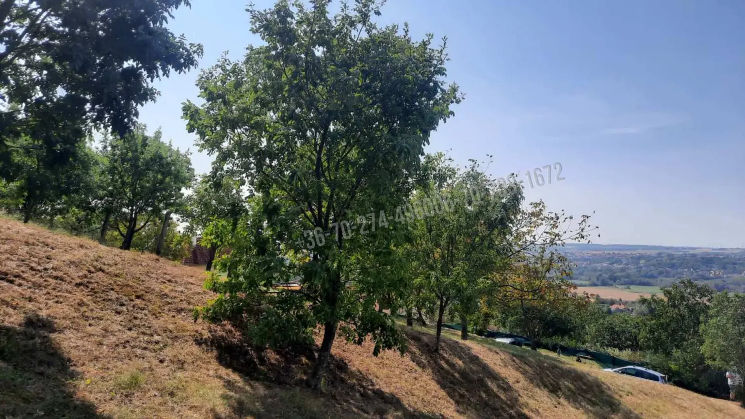 Eladó Építési telek, Cserszegtomaj, Nincs megadva, Palotai utca, 1597nm, 25000000 Ft