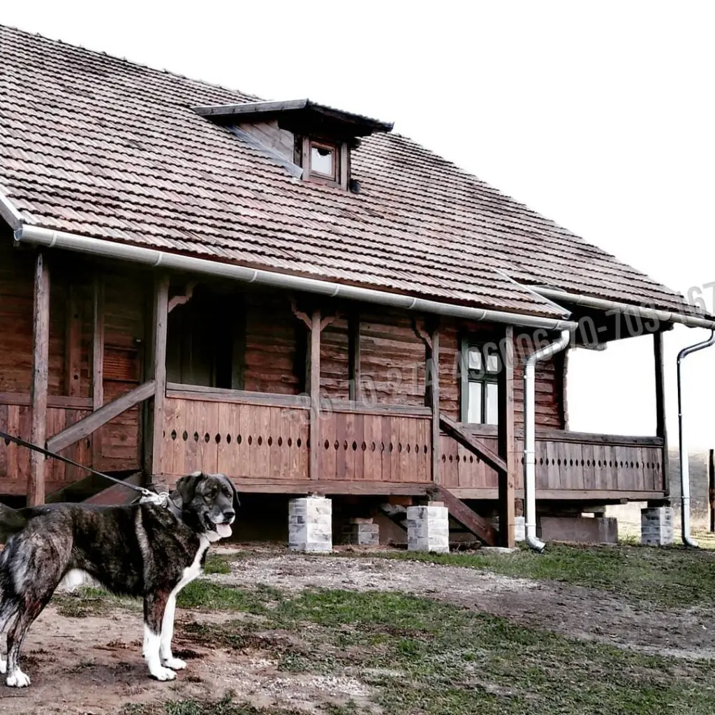 Eladó Családi ház, Szokolya, Nincs megadva, 360nm, 149899990 Ft