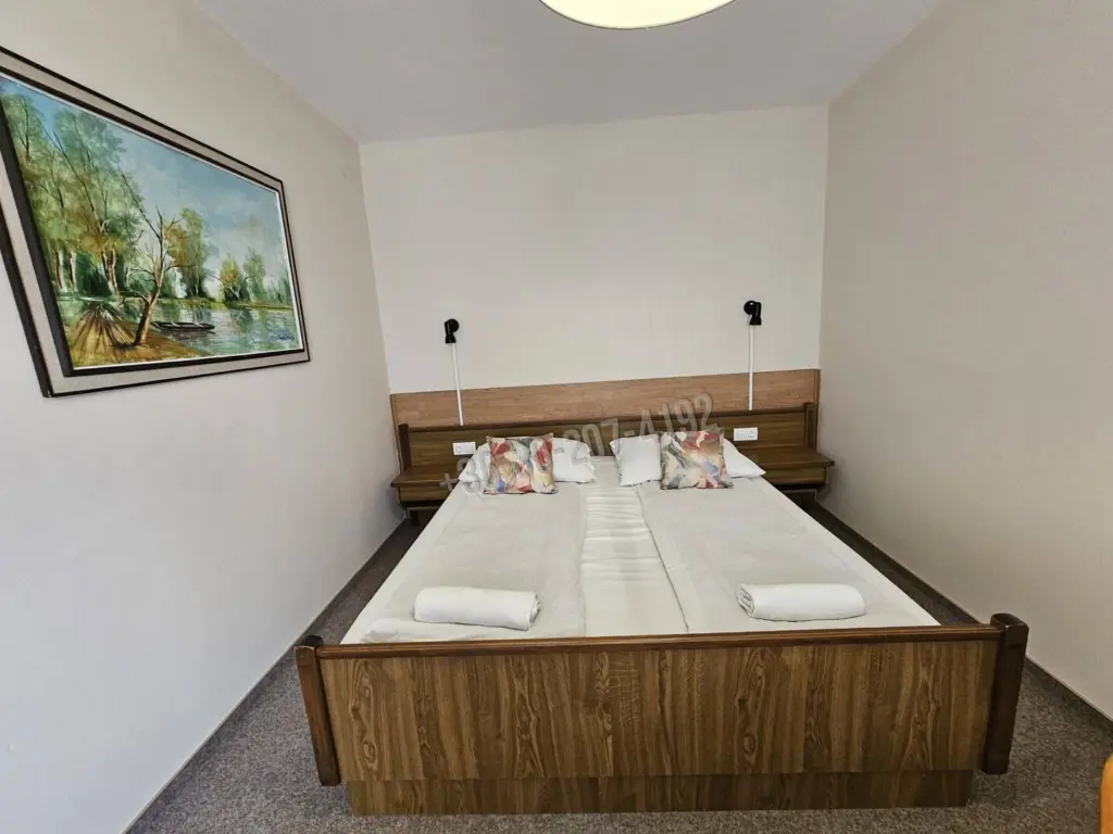 Eladó Hotel, panzió, Baks, 1062nm, 399000000 Ft