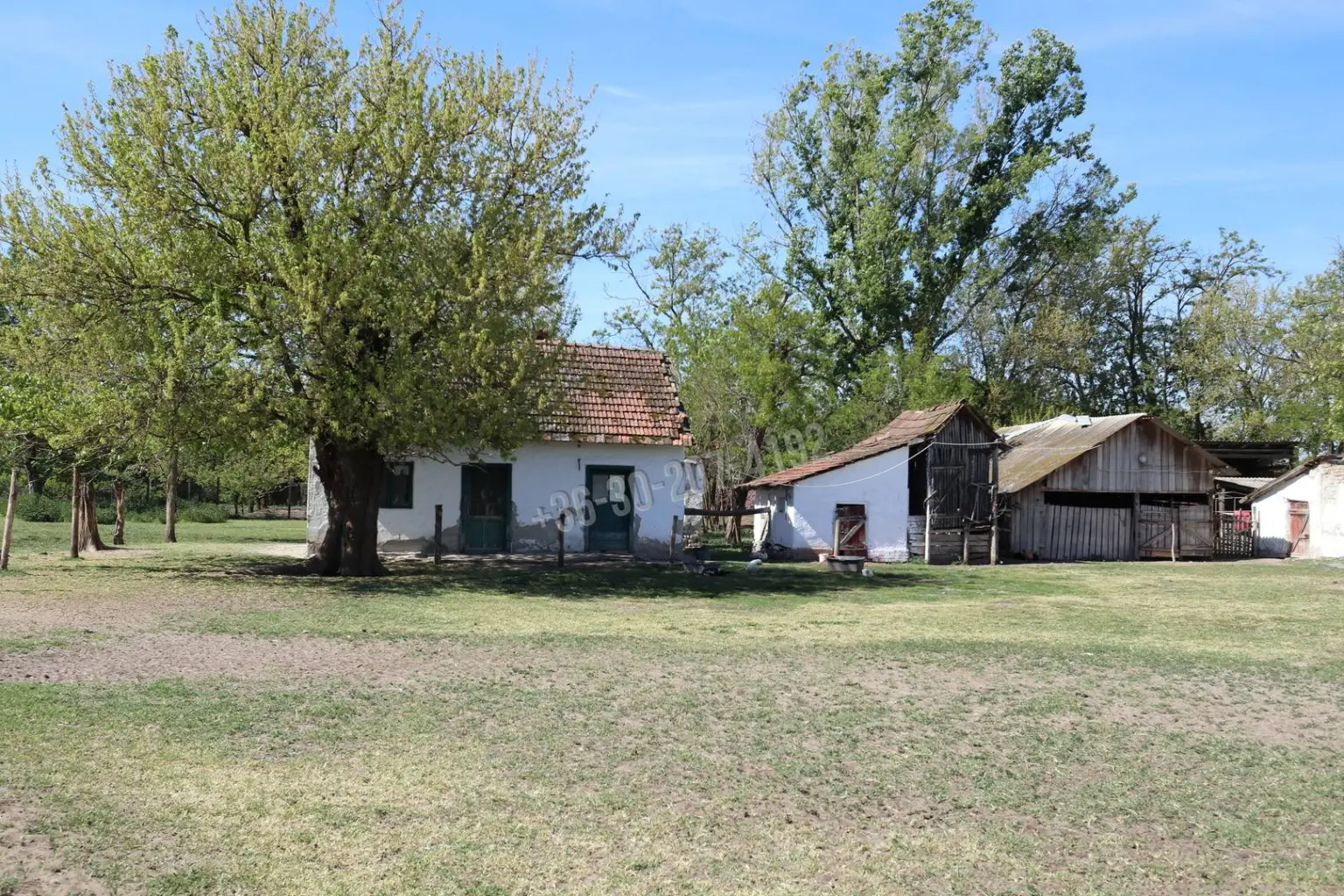 Eladó Külterületi telek, Balástya, Balástyai tanyák, 134nm, 159000000 Ft