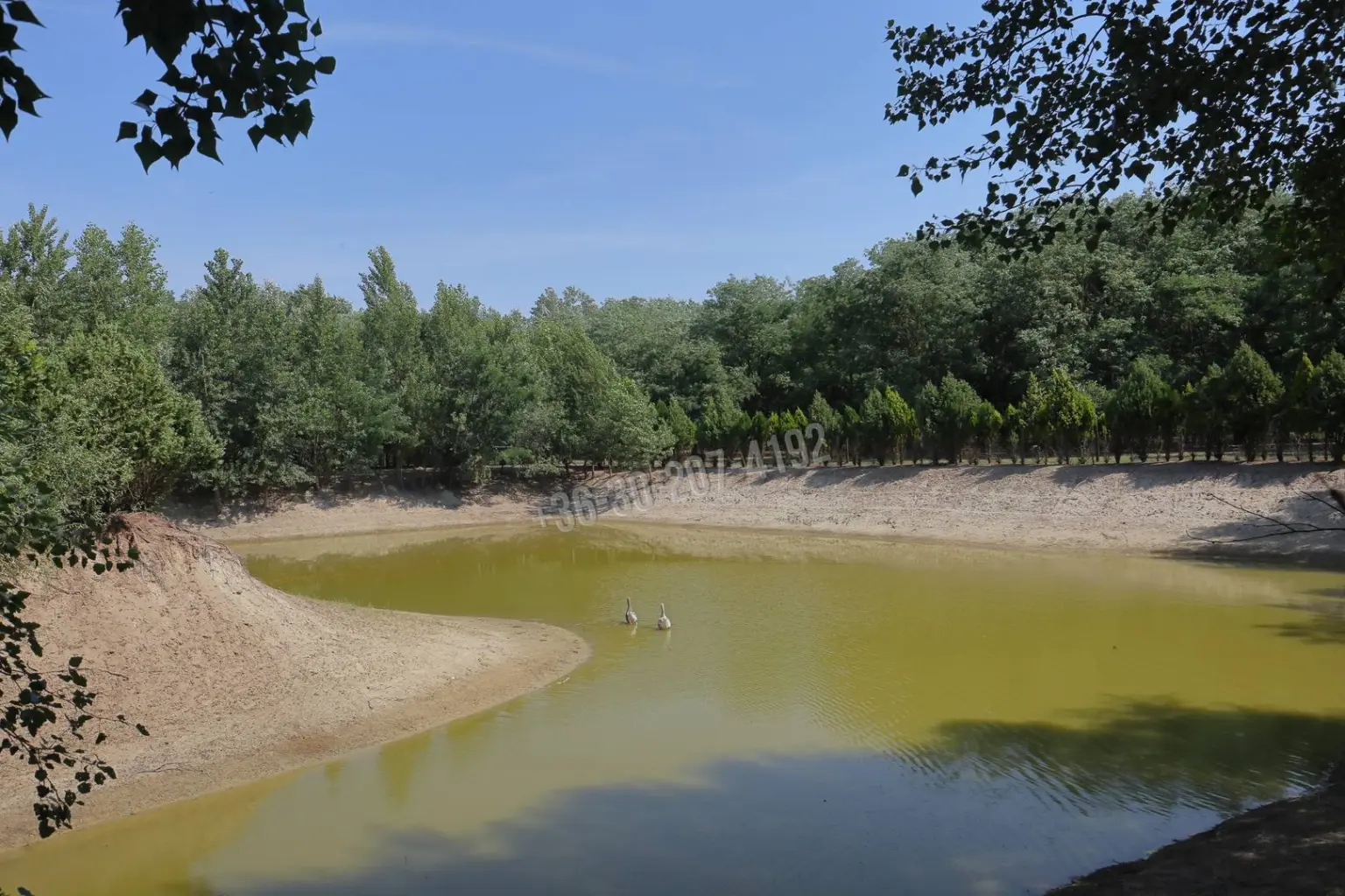 Eladó Tanya, Ópusztaszer, Székelytelep, 100nm, 59000000 Ft