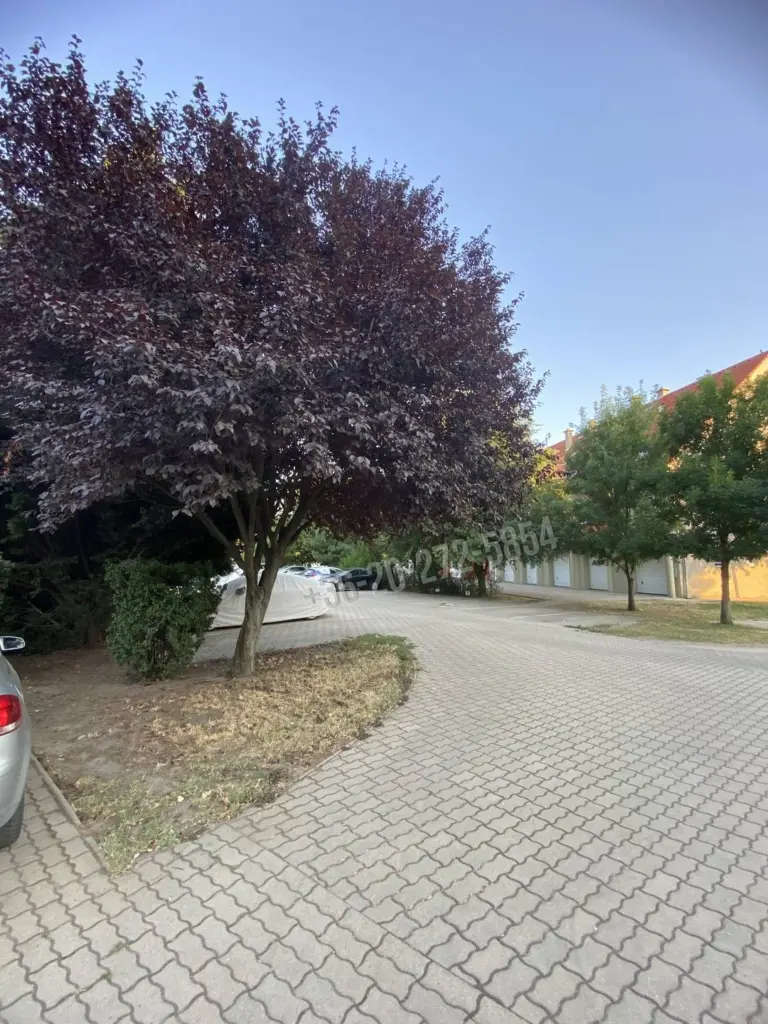 Kiadó Garázs, Szeged, Harmónia lakópark, Csaplár Benedek, 8nm, 17500 Ft