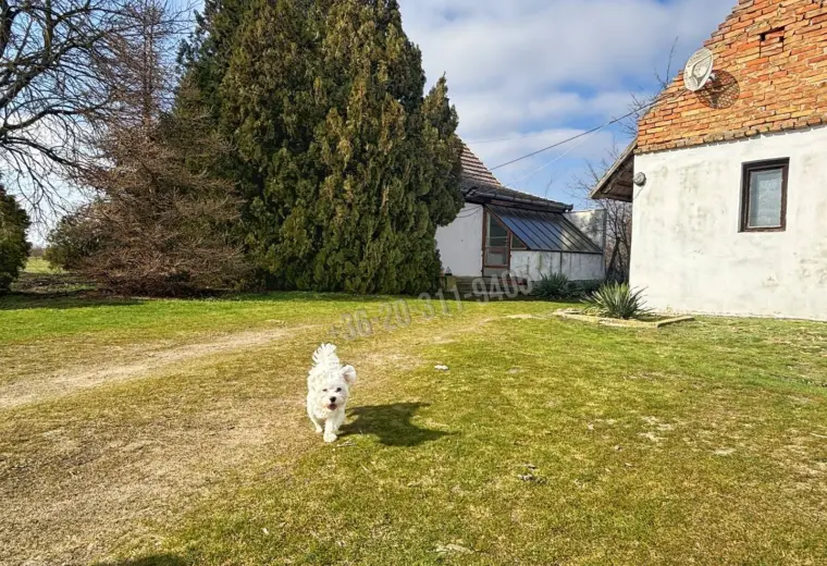 Eladó Tanya, Szatymaz, III. körzet, 87nm, 27000000 Ft