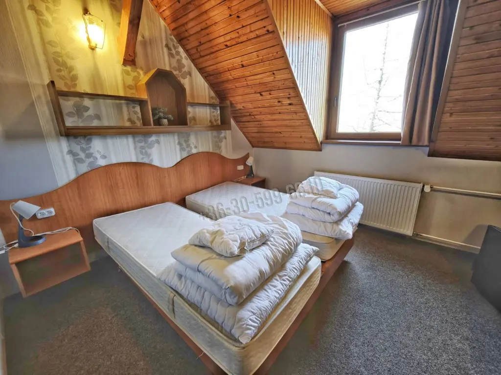 Eladó Hotel, panzió, Baks, Fő utca, 1062nm, 349000000 Ft