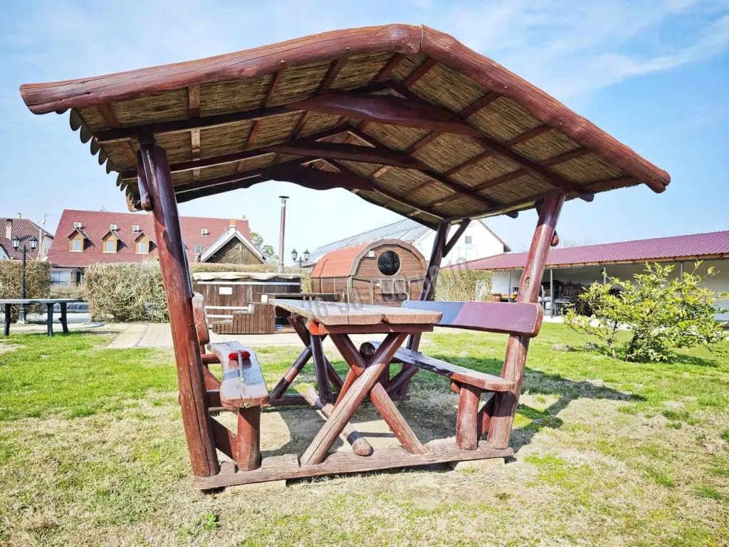 Eladó Hotel, panzió, Baks, Fő utca, 1062nm, 349000000 Ft