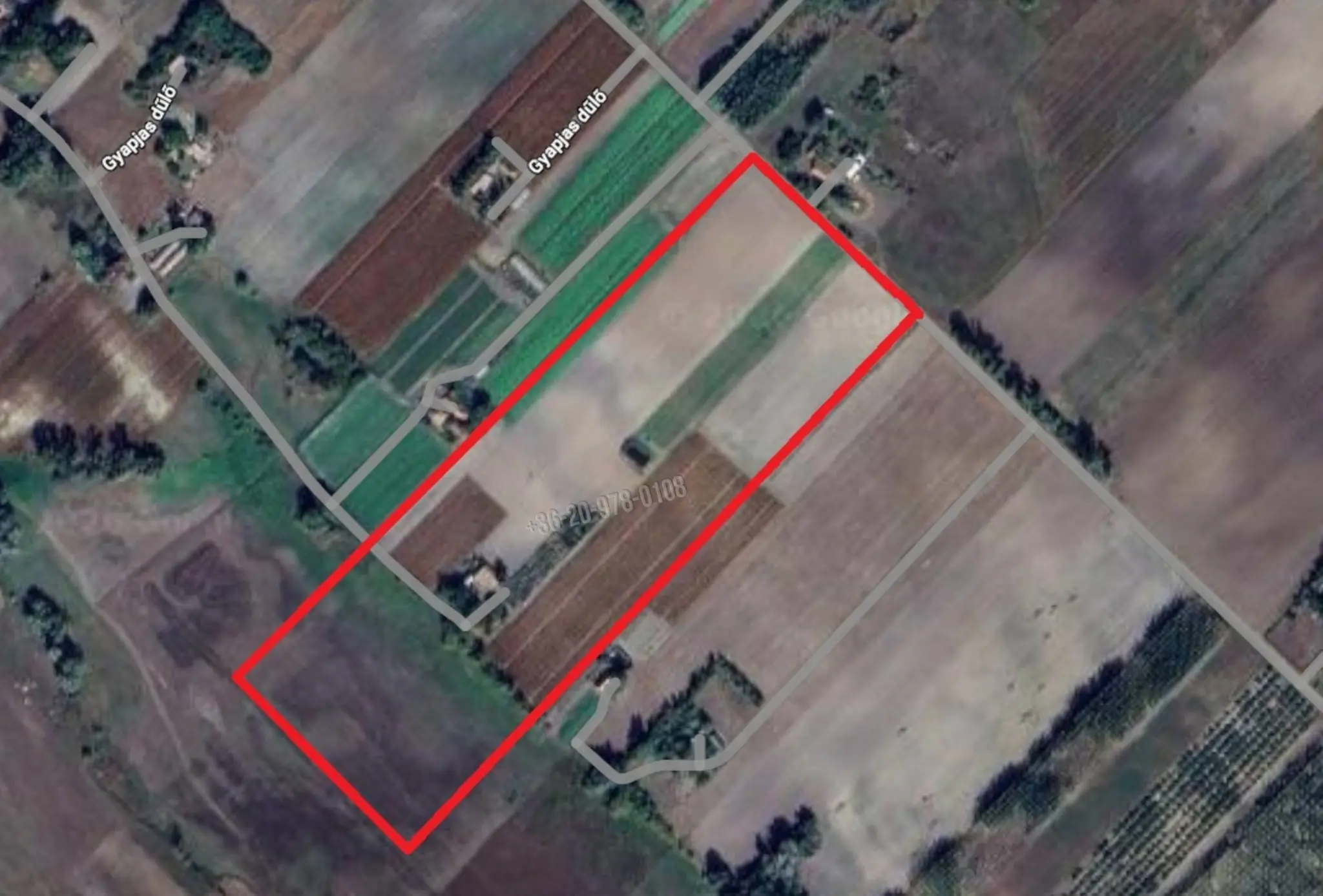 Eladó Tanya, Forráskút, Gyapjas dűlő, 85nm, 26900000 Ft