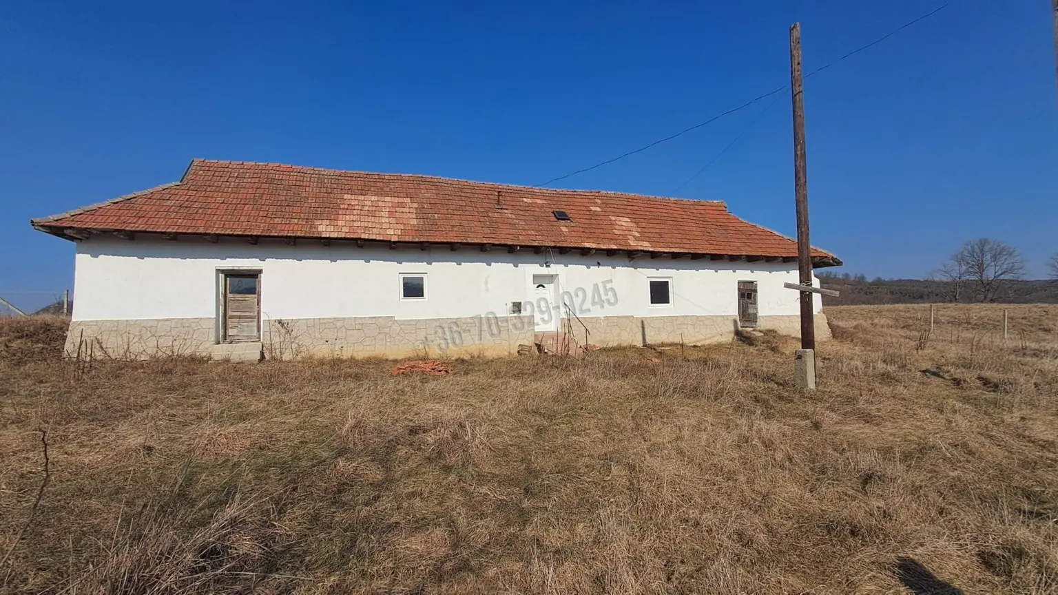 Eladó Külterületi telek, Dorogháza, Nincs megadva, Dorog puszta , 0nm, 85000000 Ft