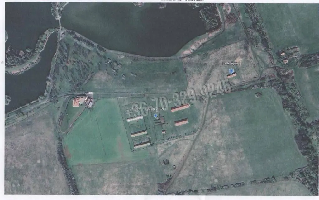Eladó Külterületi telek, Dorogháza, Nincs megadva, Dorog puszta , 0nm, 85000000 Ft