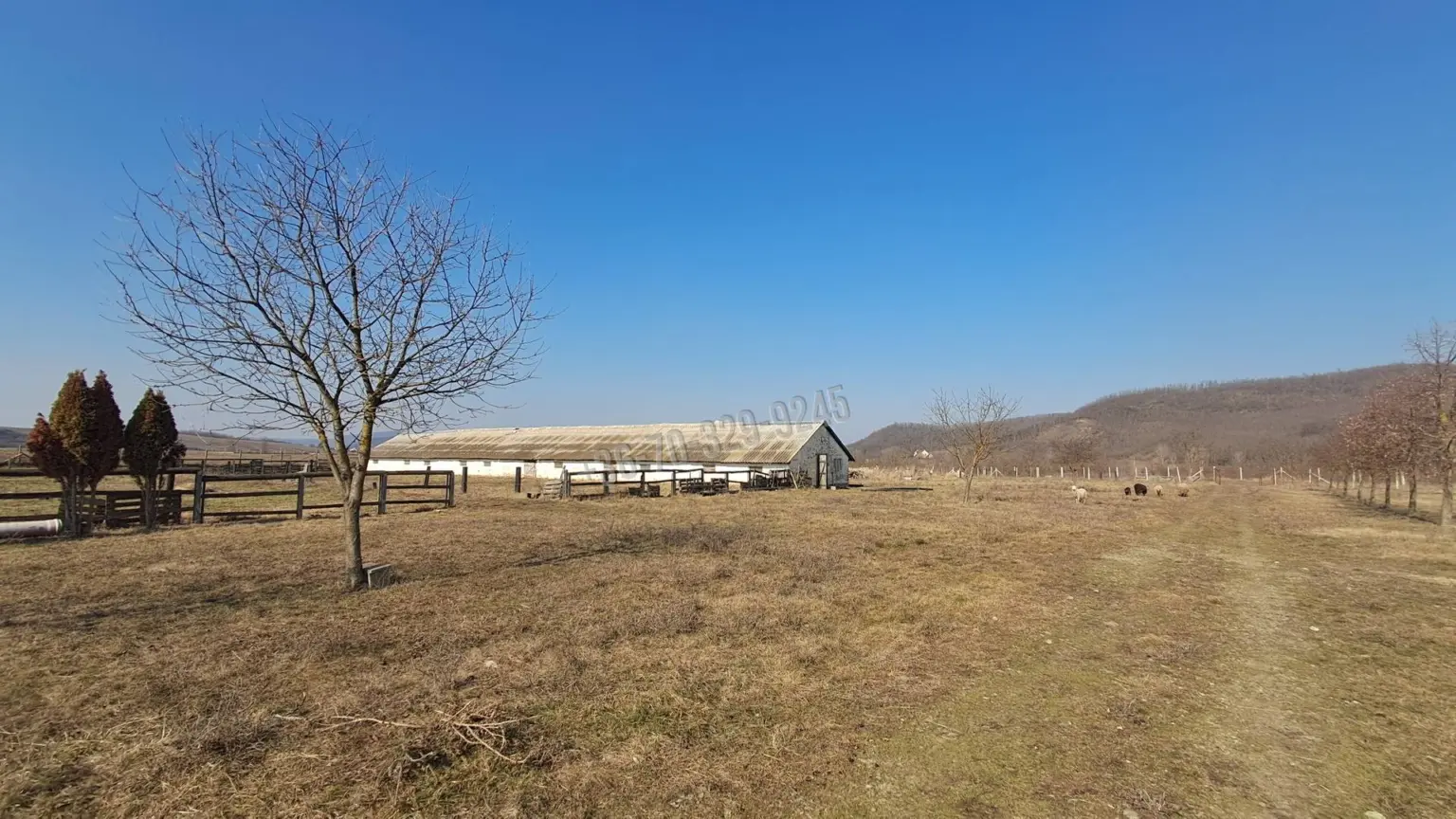 Eladó Külterületi telek, Dorogháza, Nincs megadva, Dorog puszta , 0nm, 85000000 Ft