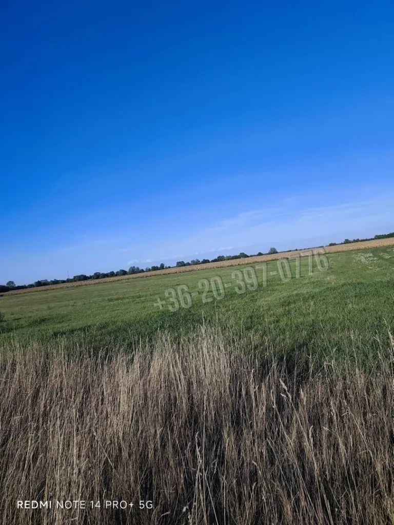 Eladó Építési telek, Mindszentpuszta, 1790nm, 16500000 Ft