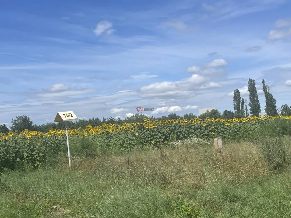 Eladó Külterületi telek, Székesfehérvár, Déli ipari zóna, 63-as főút, 1nm, 69000000 Ft