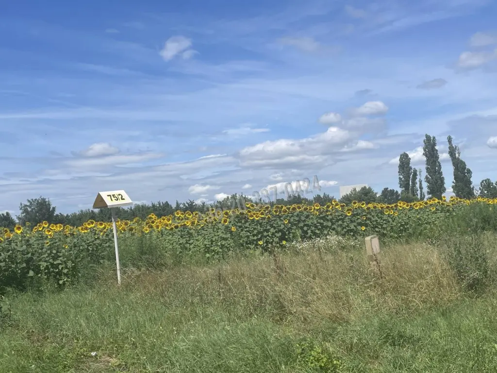 Eladó Külterületi telek, Székesfehérvár, Déli ipari zóna, 63-as főút, 1nm, 69000000 Ft