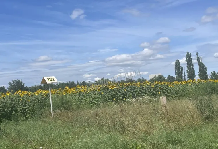 Eladó Külterületi telek, Székesfehérvár, Déli ipari zóna, 63-as főút, 1nm, 69000000 Ft