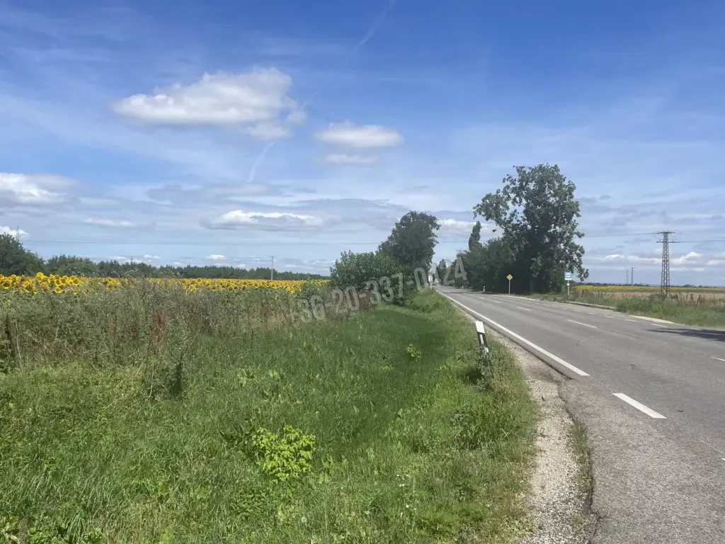 Eladó Külterületi telek, Székesfehérvár, Déli ipari zóna, 63-as főút, 1nm, 69000000 Ft