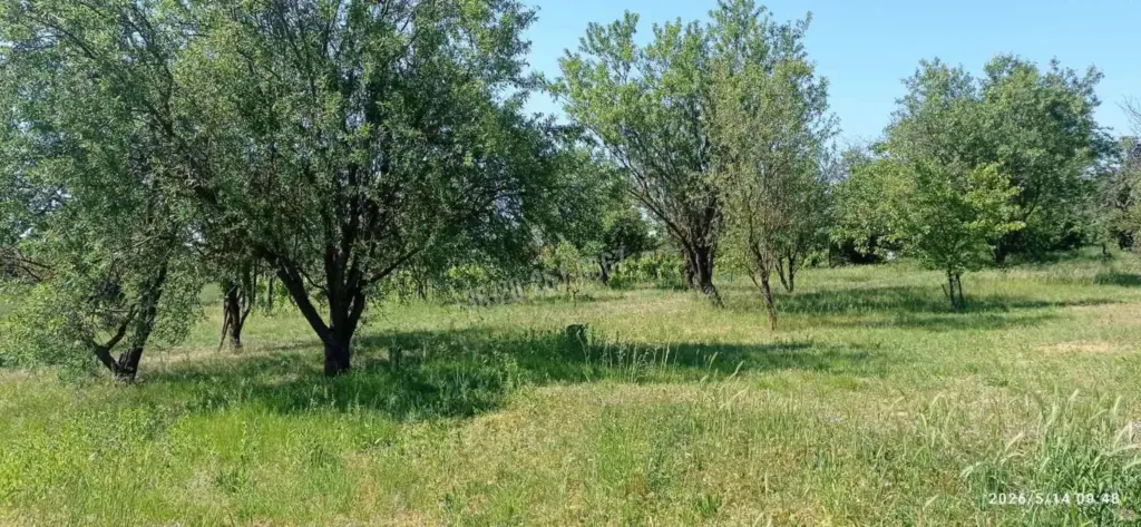 Eladó Külterületi telek, Mohács, Nincs megadva, Szőlőhegy, 100nm, 6000000 Ft