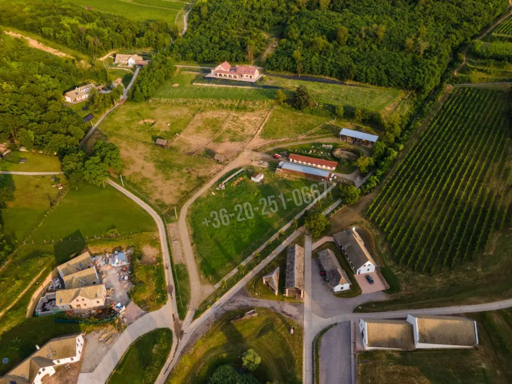 Eladó Tanya, Szekszárd, Nincs megadva, Külterület, 350nm, 72000000 Ft