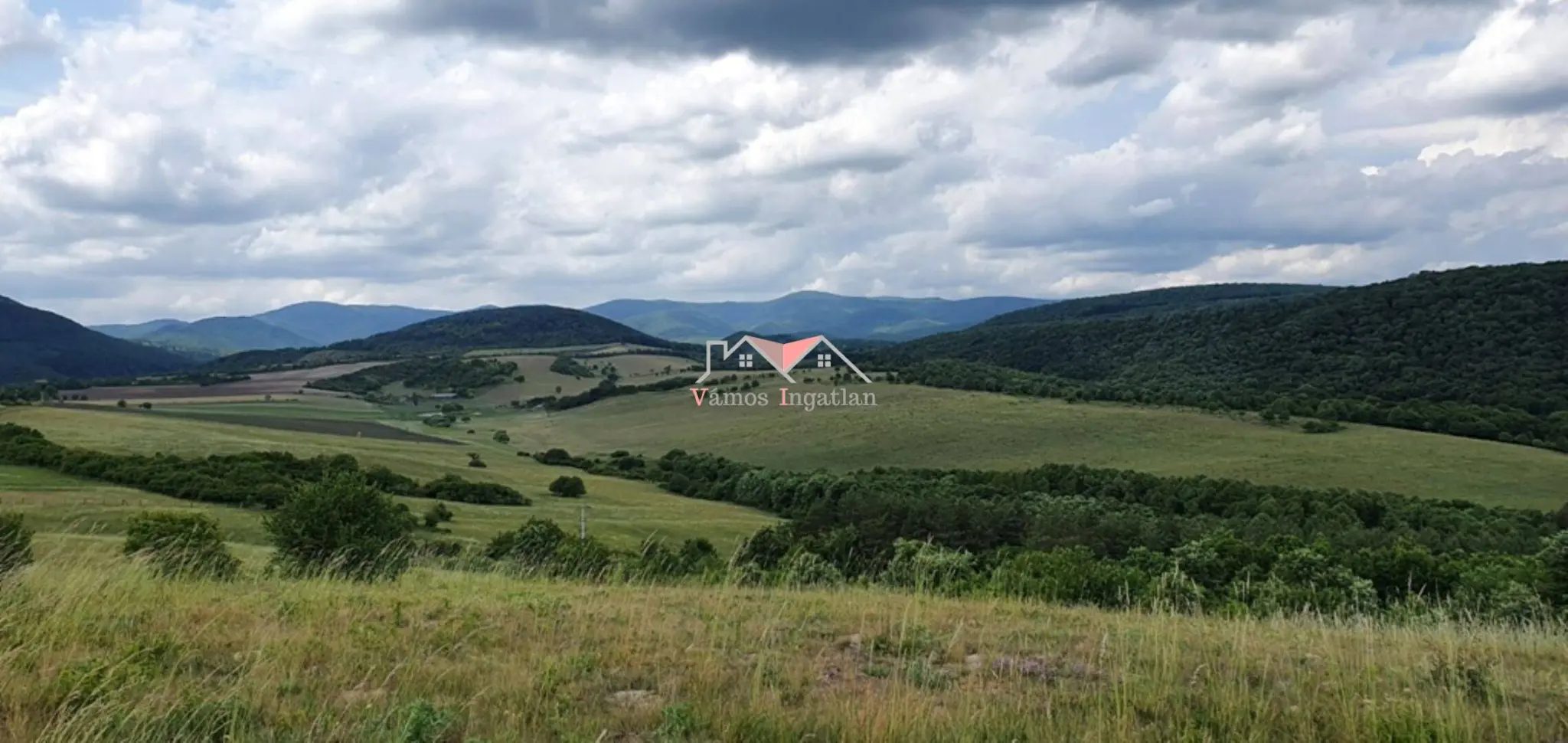 Eladó Építési telek, Szokolya, Nincs megadva, 5300nm, 49900000 Ft