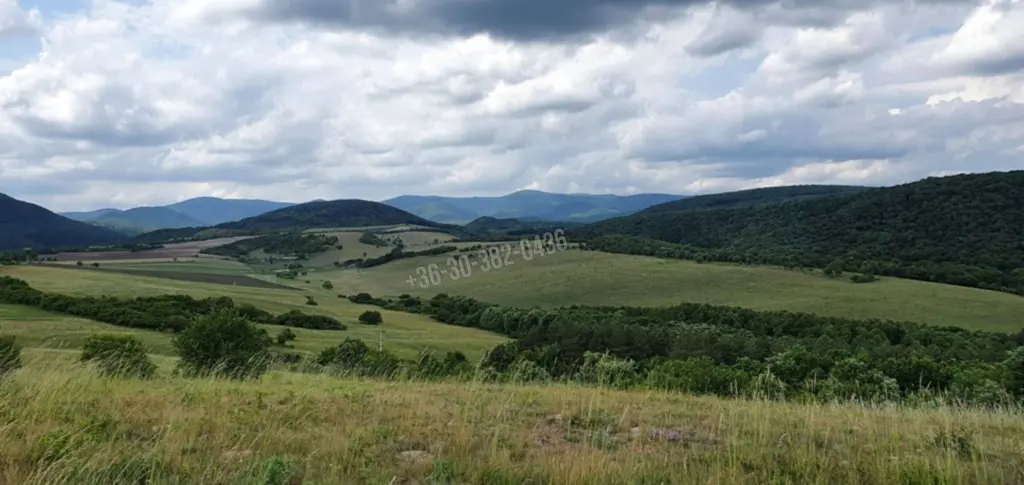Eladó Építési telek, Szokolya, Nincs megadva, 5300nm, 49900000 Ft