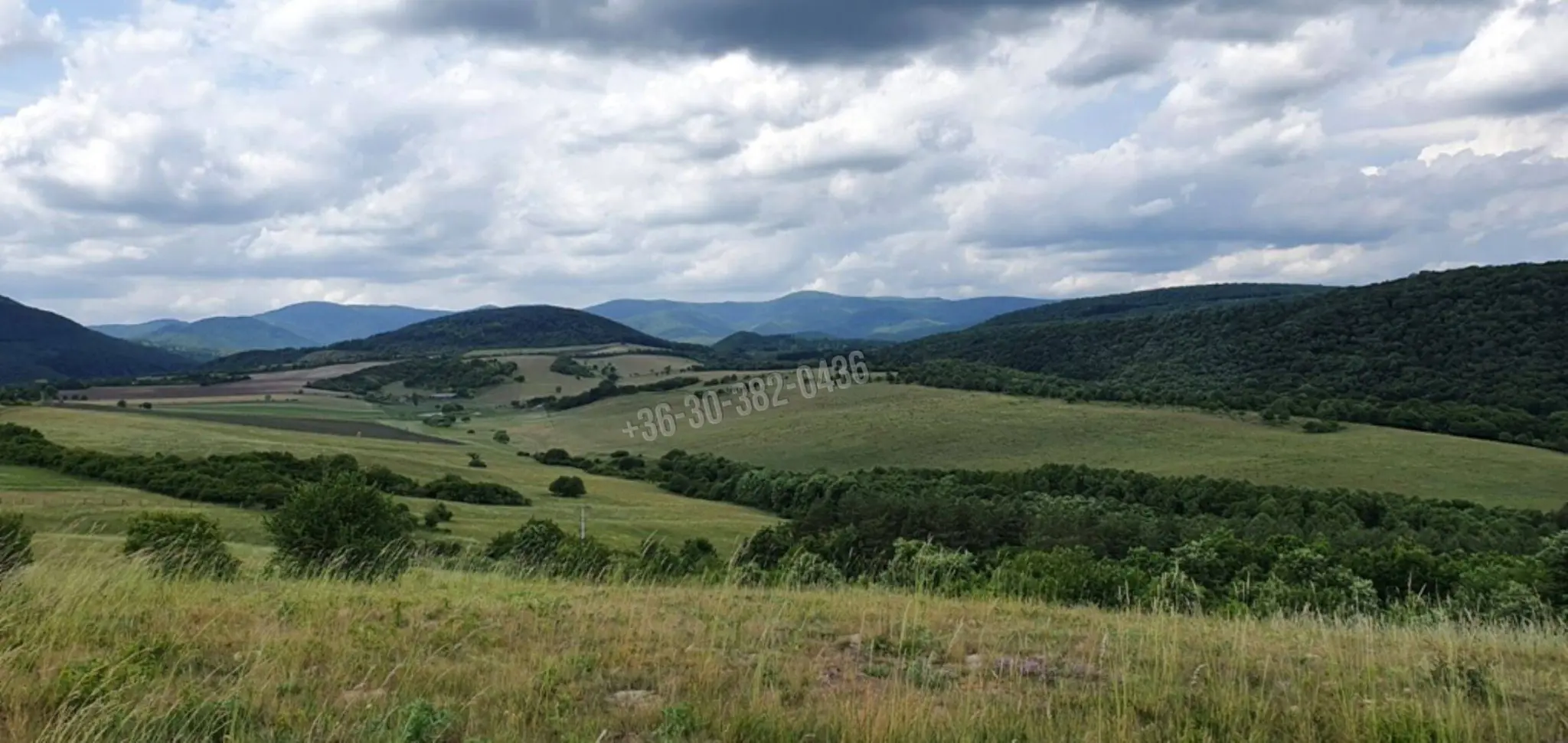 Eladó Építési telek, Szokolya, Nincs megadva, 5300nm, 49900000 Ft