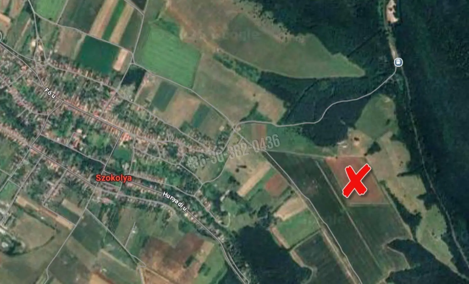 Eladó Építési telek, Szokolya, Nincs megadva, 5300nm, 49900000 Ft