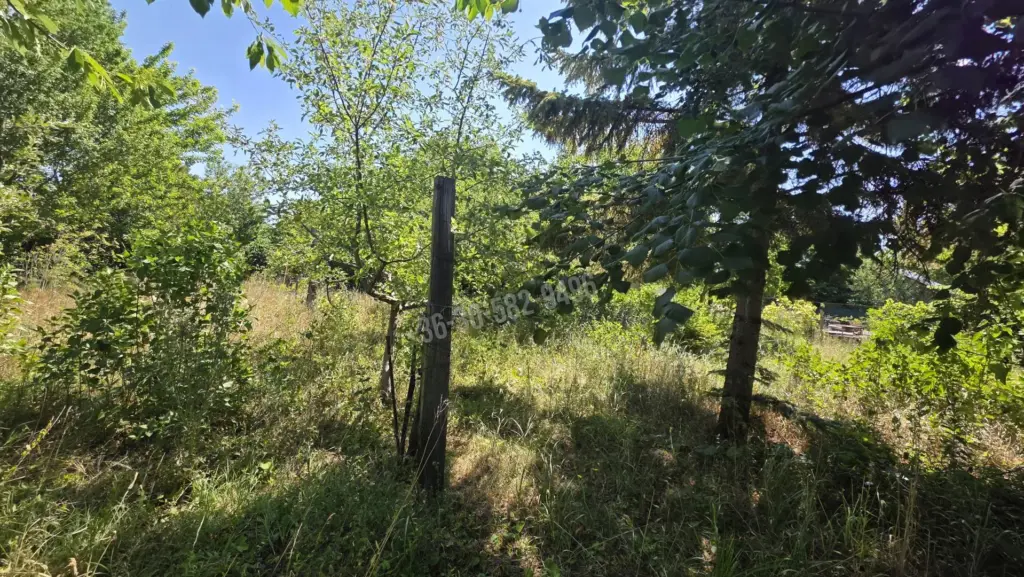 Eladó Építési telek, Székesfehérvár, Nincs megadva, Külterület, 607nm, 5000000 Ft