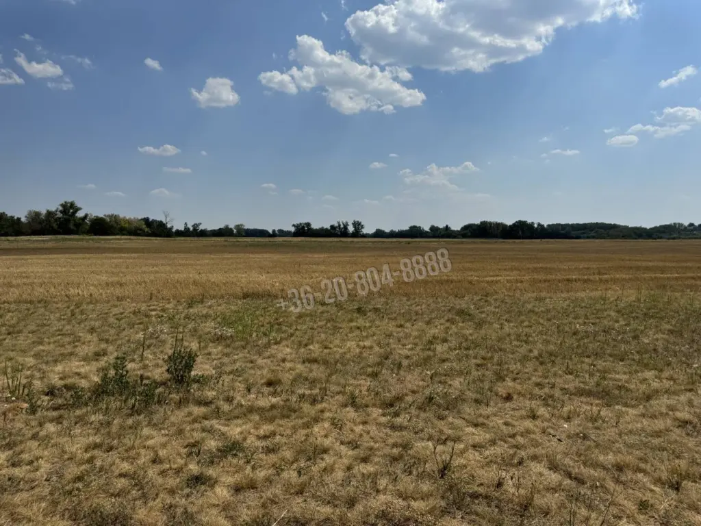 Eladó Gyárépület, Budapest XV. kerület, Rákospalota, 0nm, 1730000000 Ft